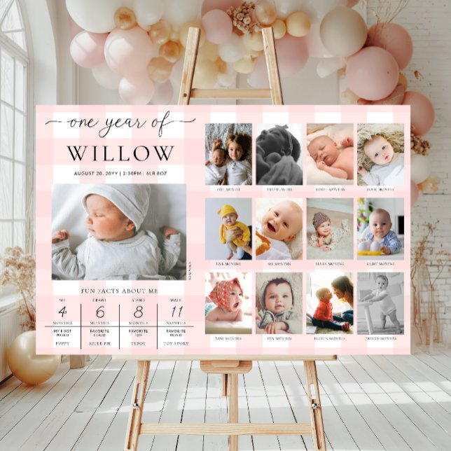 Pink Gingham First Birthday Photo Milestone Poster (Creator Uploaded)