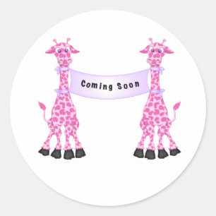 Pink Giraffes Coming Soon Classic Round Sticker