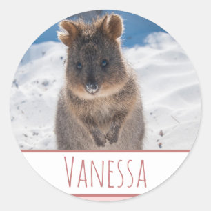 Pink Girls Personalised Quokka Beach Sticker