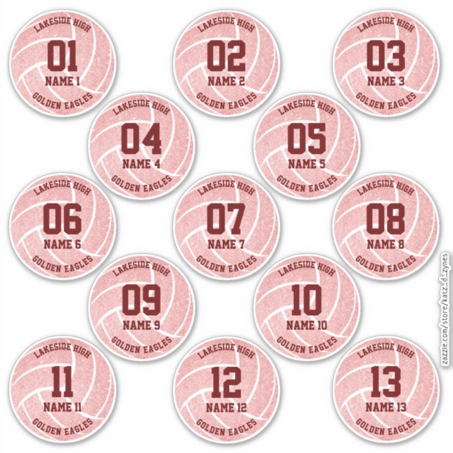 pink girly set of 13 volleyball party (Front)