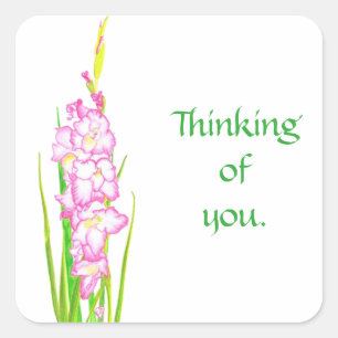 Pink Gladiola Flowers Thinking of You Stickers