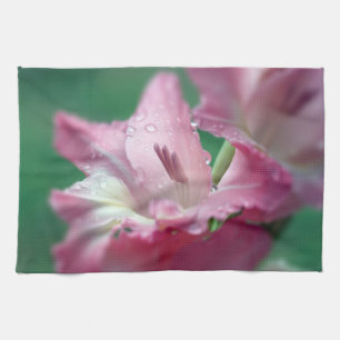 Pink Gladiolus Kitchen Towels