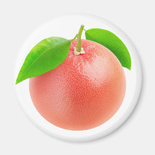 Pink grapefruit magnet