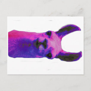 Pink Graphic Llama Postcard