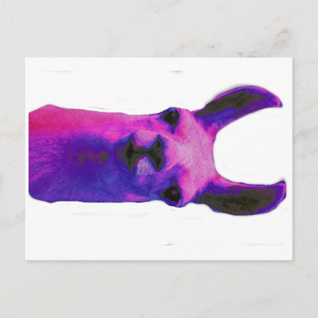 Pink Graphic Llama Postcard (Front)