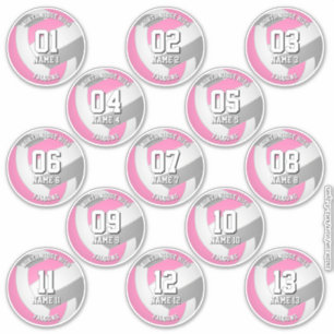 pink gray volleyball team stickers 13 athletes