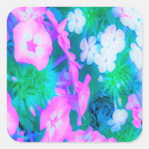 Pink, Green, Blue and White Garden Phlox Flowers Square Sticker