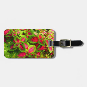 Pink Green Coleus Flower Tropical Luggage TAg