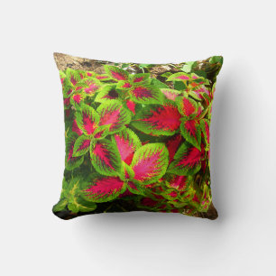 Pink green coleus tropical pillow