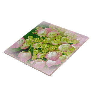 Pink & Green Hydrangea Flowers Tile