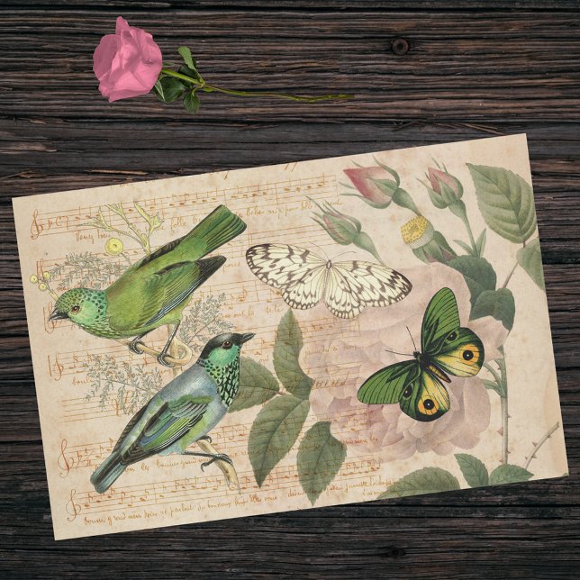 Pink Green Musical Bird Butterfly Rose Ephemera Tissue Paper (Creator Uploaded)