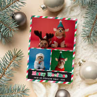 Pink Green Retro Merry Woofmas Photo Collage