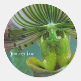 Pink Green Slipper Orchid Wedding Invitation Seals