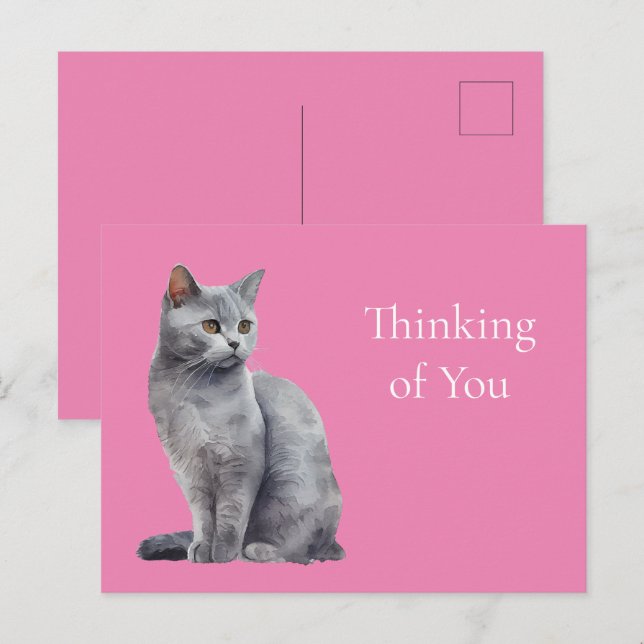 Pink Grey Cat Thinking of you Postcard (Front/Back)