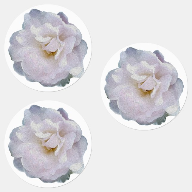 Pink grey rose (Group)