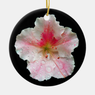 'Pink Gumpo Azalea' Ceramic Tree Decoration