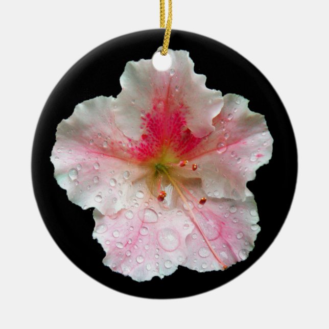 'Pink Gumpo Azalea' Ceramic Tree Decoration (Front)