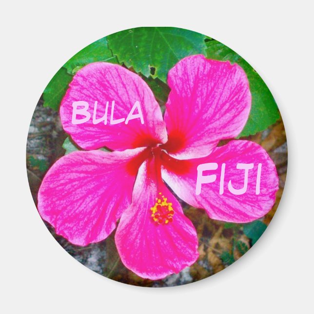 Pink Habiscus Magnet (Front)