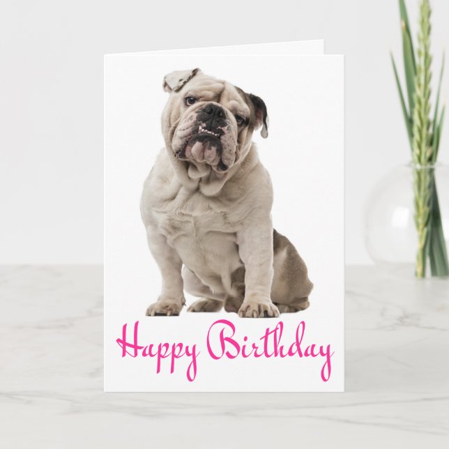 Pink Happy Birthday English Bulldog Puppy Dog Card (Front)
