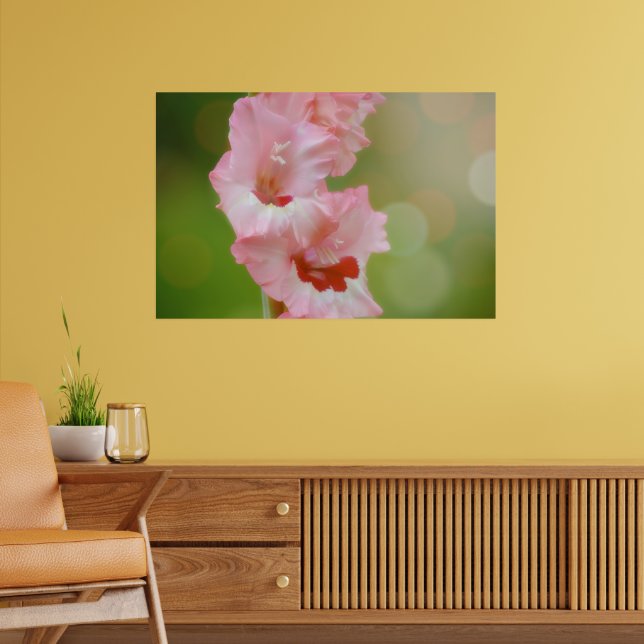 Pink Happy Sunshine Gladiolus Flowers Arty Poster (Living Room 2)