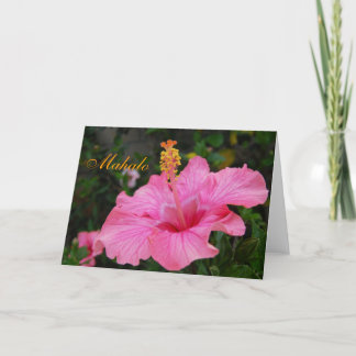 Pink Hawaii Hibiscus card