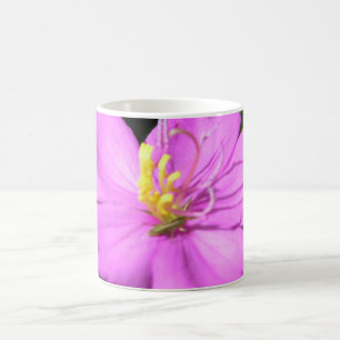 Pink Hawaiian Plumeria Poster Faux Canvas Print A Coffee Mug