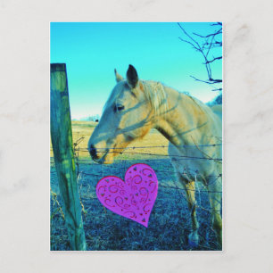 Pink Heart and Yellow Horse Postcard