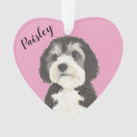Pink Heart Bernedoodle Sheepadoodle