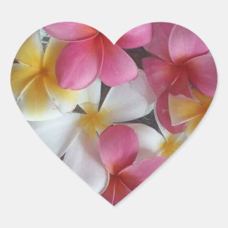 Pink, heart shaped Plumeria flower stickers