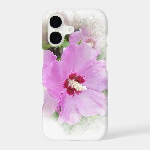 Pink Hibiscus
