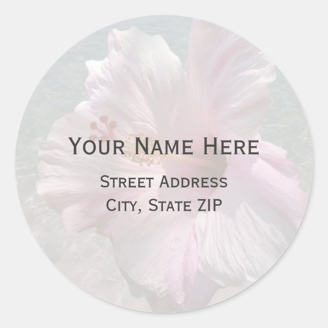 Pink Hibiscus and Ocean Water Address Label (Front)