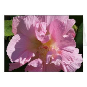 Pink Hibiscus Card 5X7