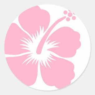 Pink hibiscus F Classic Round Sticker
