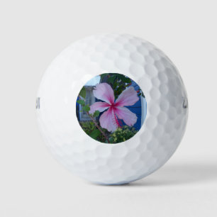 Pink hibiscus flower and a blue beach cottage wall golf balls