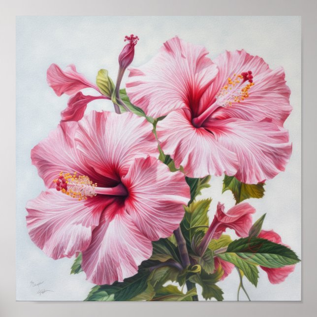 Pink Hibiscus Flower Art Print Poster (Front)