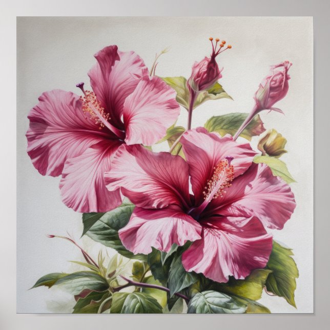 Pink Hibiscus Flower Art Print Poster (Front)
