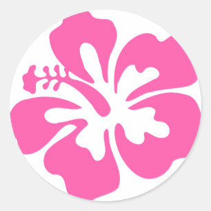 Pink Hibiscus Flower Classic Round Sticker