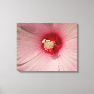 Pink Hibiscus Flower Close Up Photo Single Print