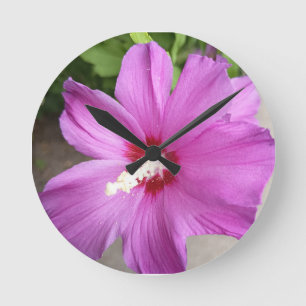 Pink Hibiscus Flower Floral Round Wall Cloc Clock