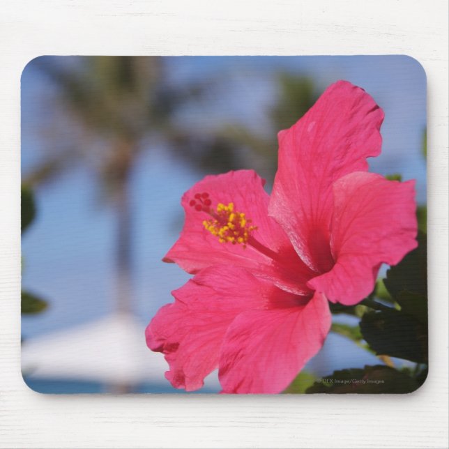 Pink hibiscus flower mouse mat (Front)