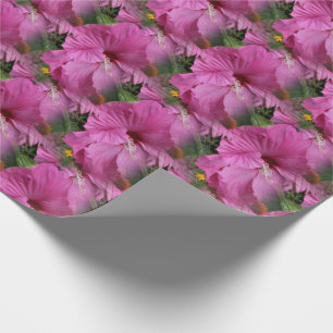 Pink Hibiscus Flower Nature    Wrapping Paper