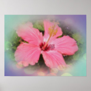 Pink Hibiscus Flower Poster