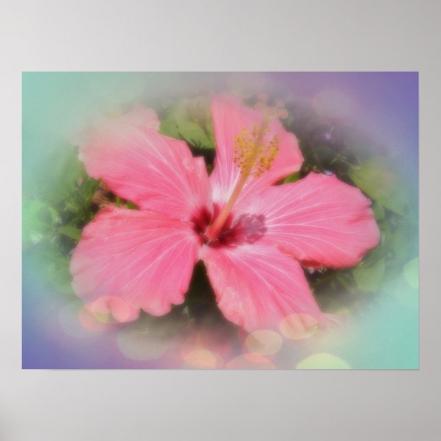 Pink Hibiscus Flower Poster (Front)