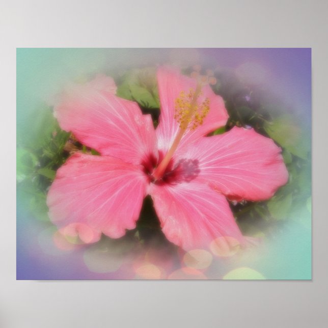 Pink Hibiscus Flower Poster (Front)