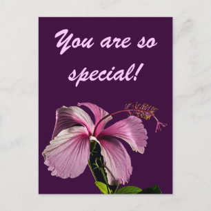 Pink Hibiscus Flower Side View Postcard