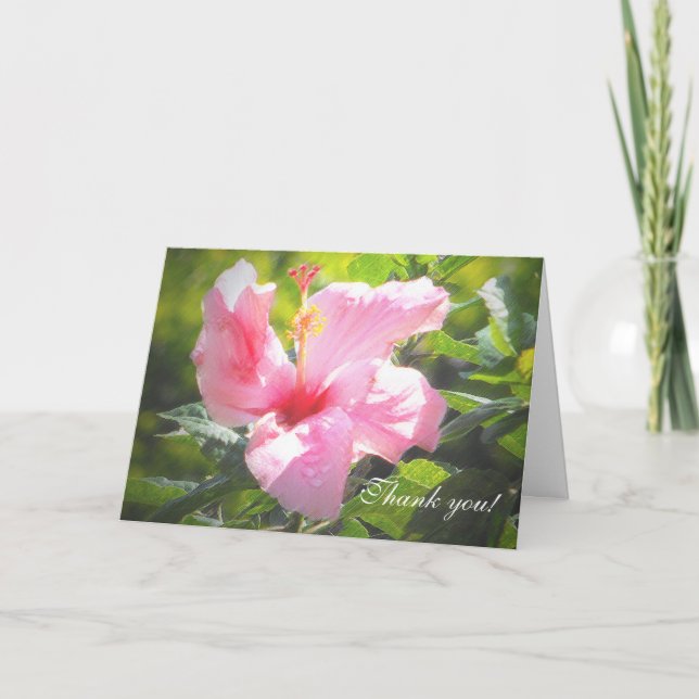 Pink Hibiscus Flower Thank You Card (Front)