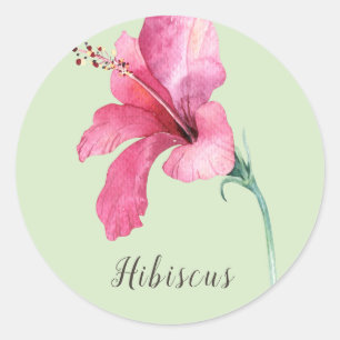 Pink Hibiscus Flower Watercolor Classic Round Sticker