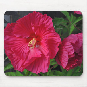 Pink hibiscus flowers mouse mat