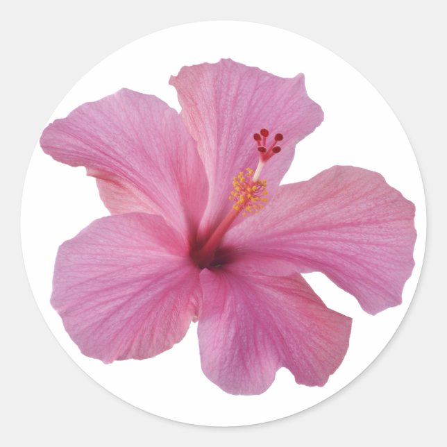 Pink Hibiscus Hawaiian Flower Customised Template Classic Round Sticker (Front)