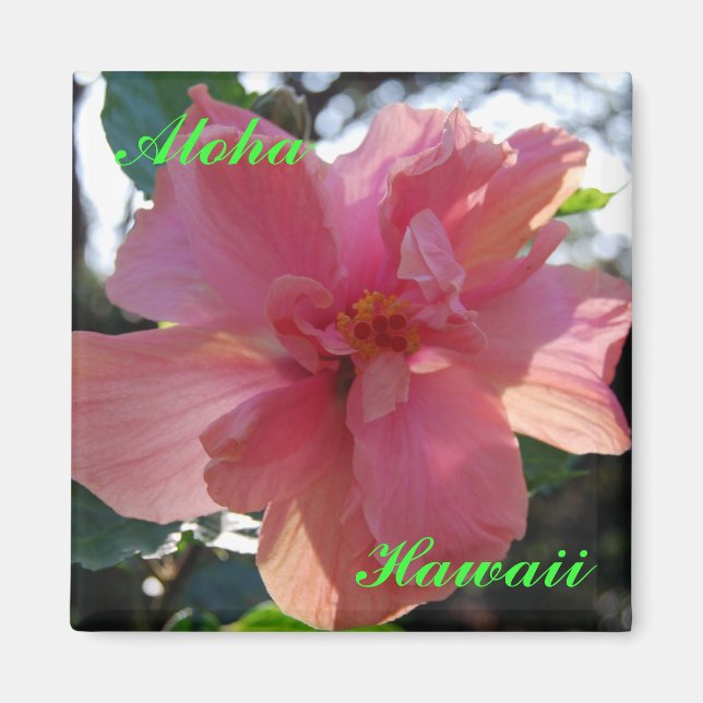 Pink Hibiscus in Hawaii Magnet (Front)